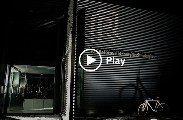 Warm wishes and season's greetings