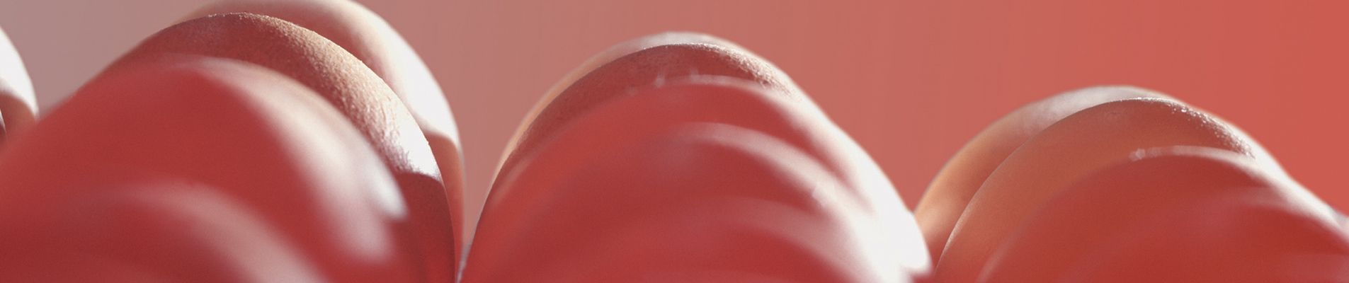 Smart fit for hatchery growth in Albania