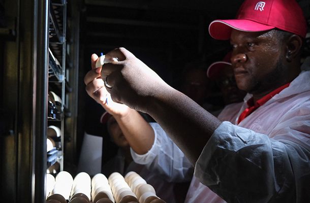 Hands-on knowledge sharing in Zambia