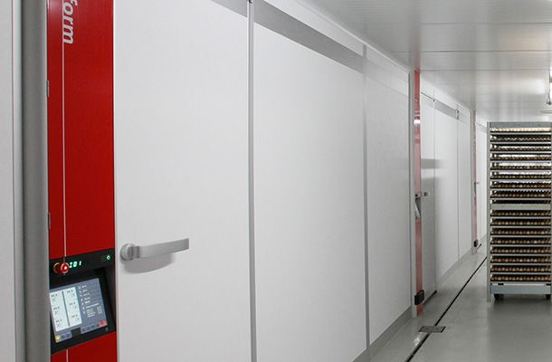 Multistage incubation – selecting optimum settings