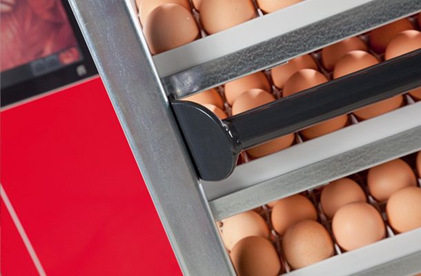 Thailand’s Panus Poultry chooses Royal Pas Reform for export-driven expansion