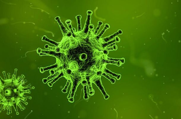 Update on Royal Pas Reform’s response to the Covid-19 pandemic