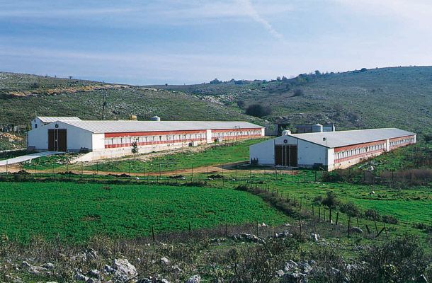 Pindos targets growth with Pas Reform in Greece