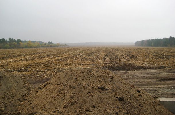 Cómo elegir la ubicación de una planta de incubación