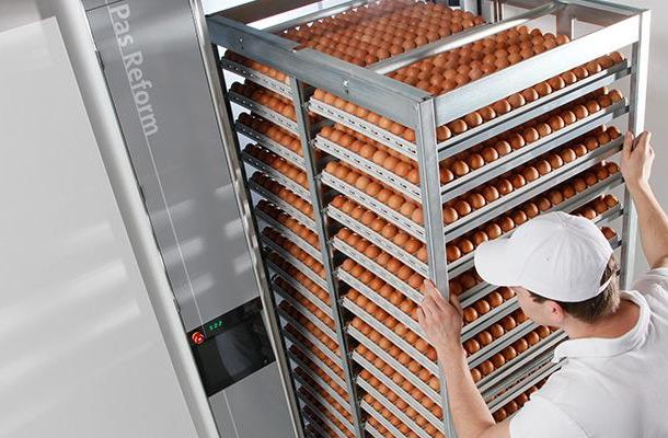 Lessening the impact of prolonged hatching egg storage