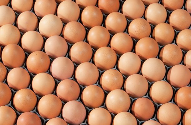 La optimización del espacio en las bandejas de incubación en forma de panal