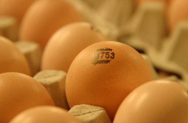 Cuando los pollos se almacenan por demasiado tiempo