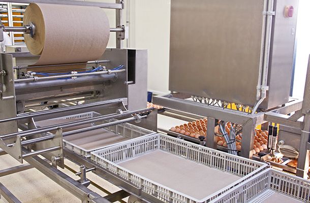 Lining hatcher baskets with paper