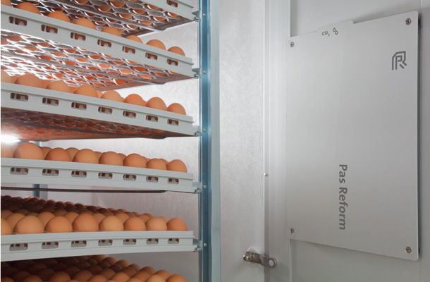 Qualidade garantida sem preocupações