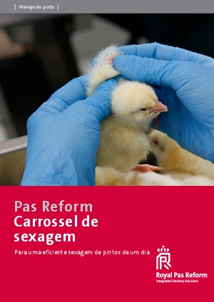 Carrossel de sexagem