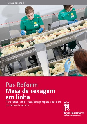 Mesa de sexagem em linha