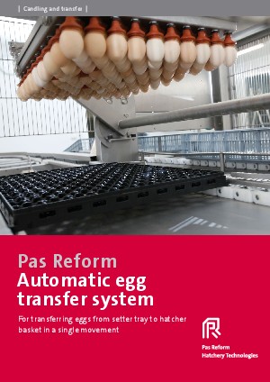 Automatic egg transfer system